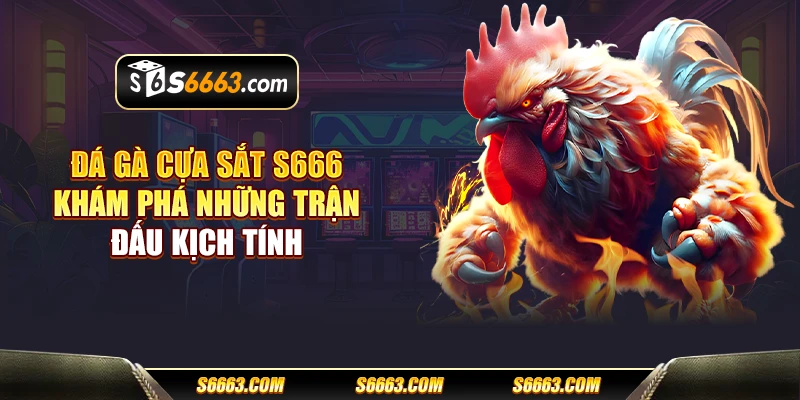 Đá gà cựa sắt S666 - Khám phá những trận đấu kịch tính