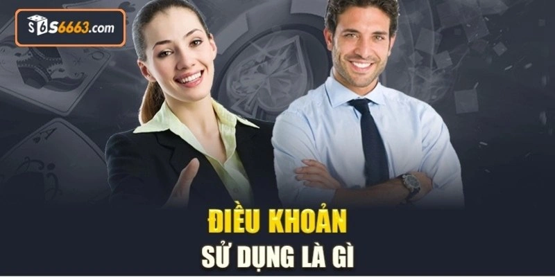 Vai trò quan trọng của điều kiện điều khoản S666 