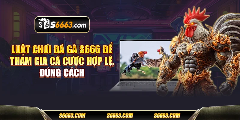 Luật chơi đá gà S666 để tham gia cá cược hợp lệ, đúng cách