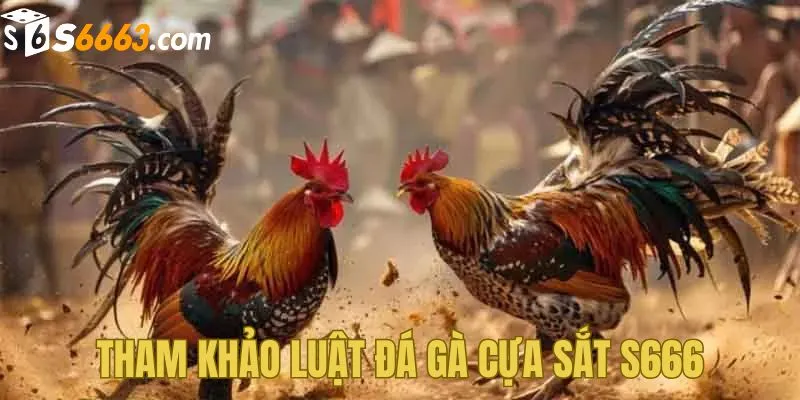 Tham khảo luật chơi đá gà cựa sắt đơn giản tại S666